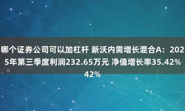 哪个证券公司可以加杠杆 新沃内需增长混合A：2025年第三季度利润232.65万元 净值增长率35.42%