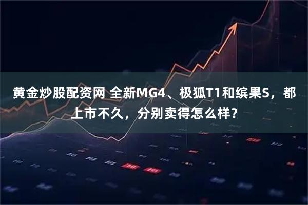 黄金炒股配资网 全新MG4、极狐T1和缤果S，都上市不久，分别卖得怎么样？